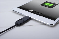 2-in-1 Charging Sync Cable
