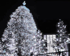 Solar Powered Fairy Lights