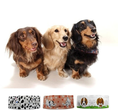 Portable Dog Bowls